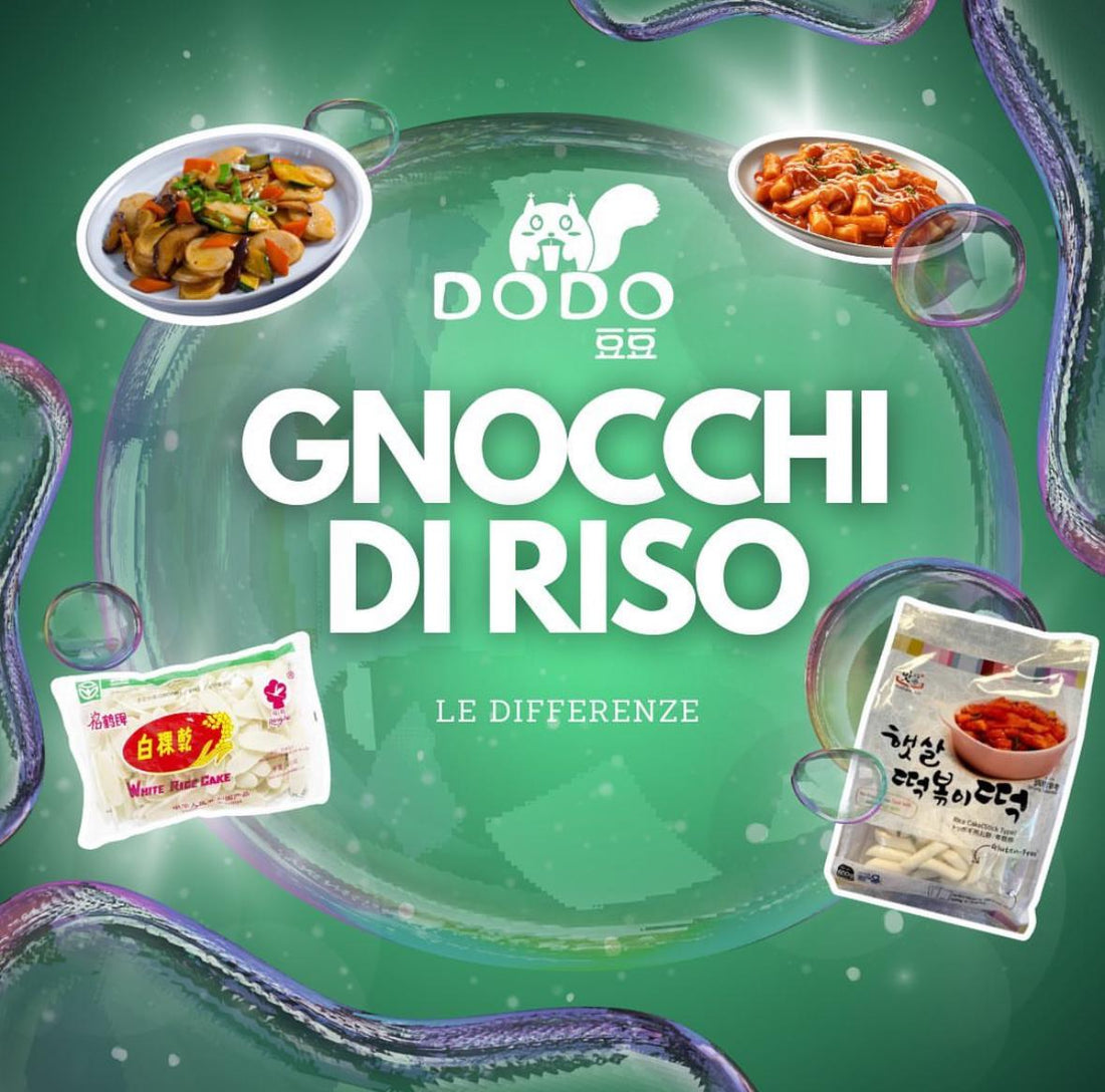 GNOCCHI DI RISO: Differenze e curiosità-Dodo Asian Market